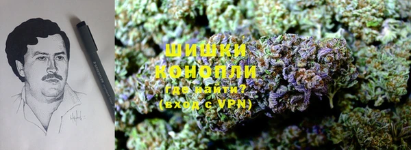 бутират Дмитриев
