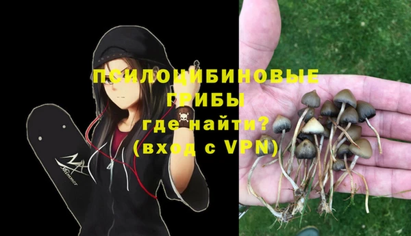 бутират Дмитриев