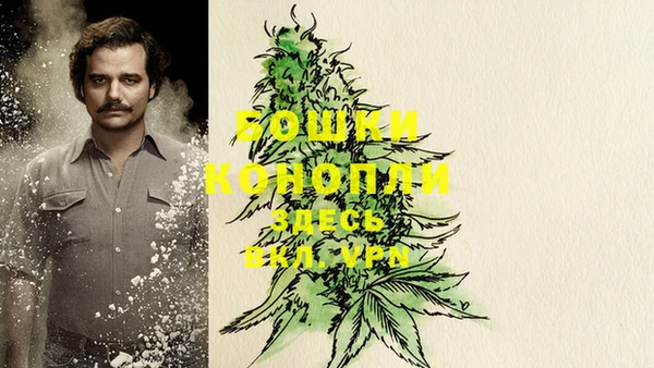 трава Дмитров