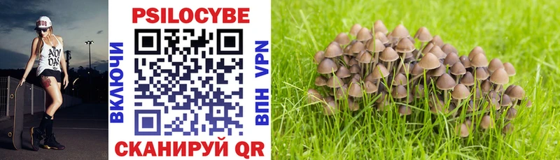 Псилоцибиновые грибы прущие грибы  Купить закладки  Западная Двина 