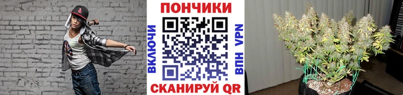 Купить закладки  Западная Двина  Бошки марихуана MAZAR 